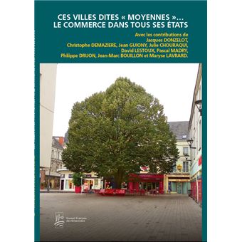 Ces villes dites "moyennes"... Le commerce dans tous ses états