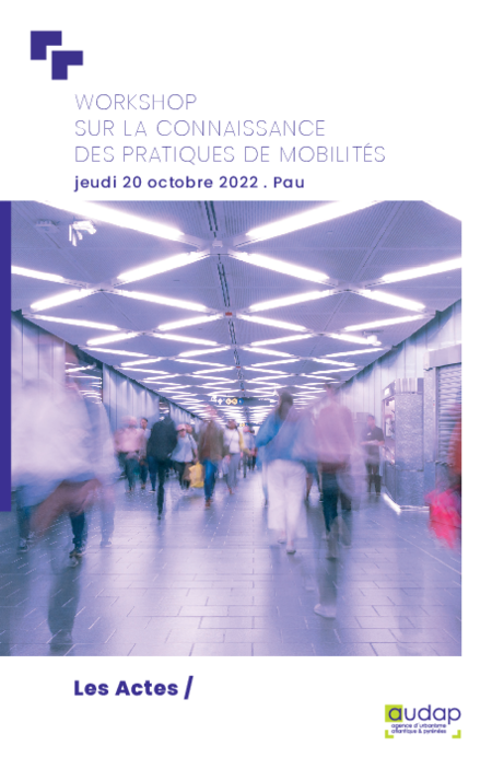 Workshop sur la connaissance des pratiques de mobilité : les actes